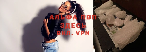 спиды Няндома
